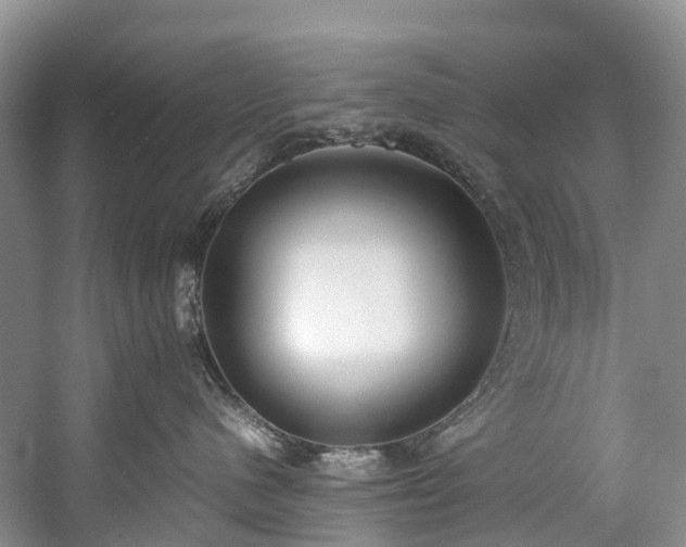 X0000060230480200510281139
