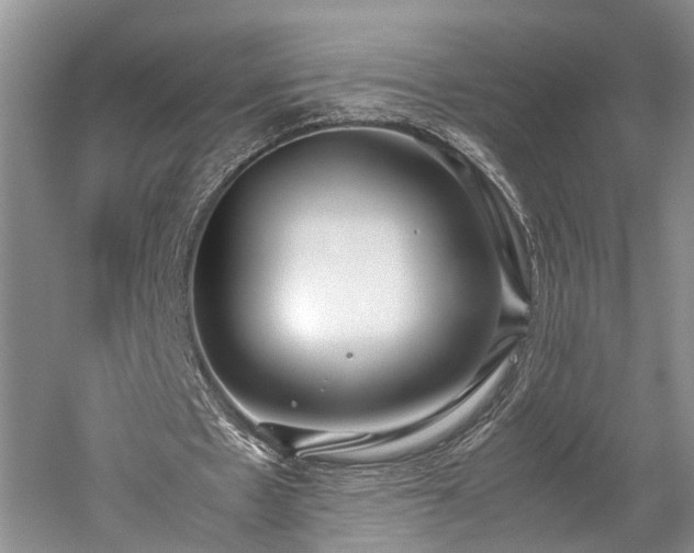 X0000060230481200510281138