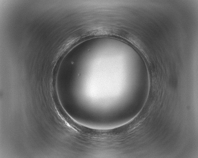 X0000060230485200510281138