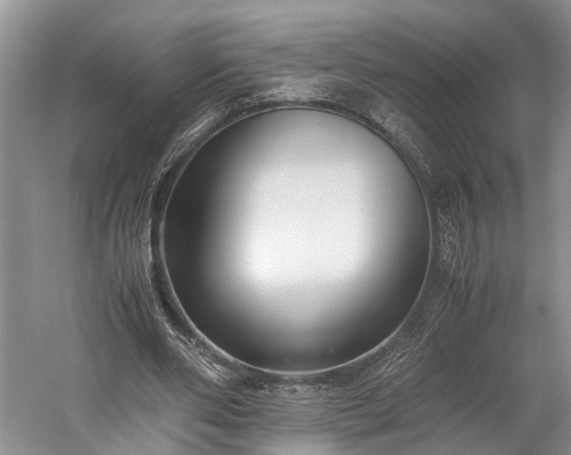 X0000060230486200510281138