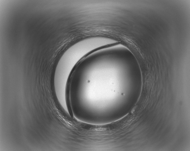 X0000060230501200510281138