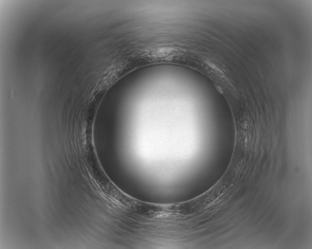 X0000060230504200510281138