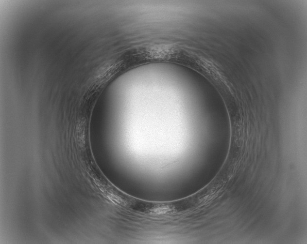 X0000060230505200510281138