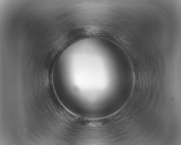 X0000060230508200510281138