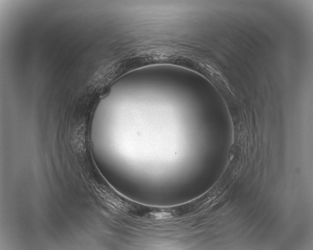 X0000060230509200510281138