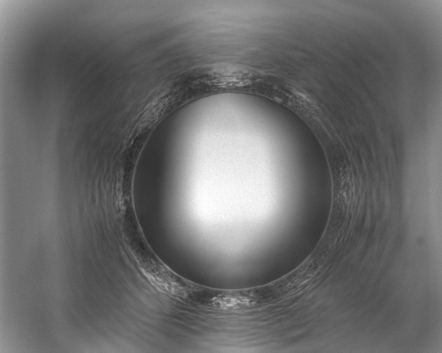 X0000060230512200510281138