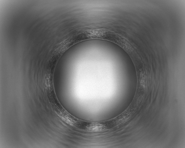 X0000060230514200510281138