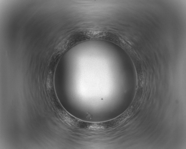 X0000060230515200510281138