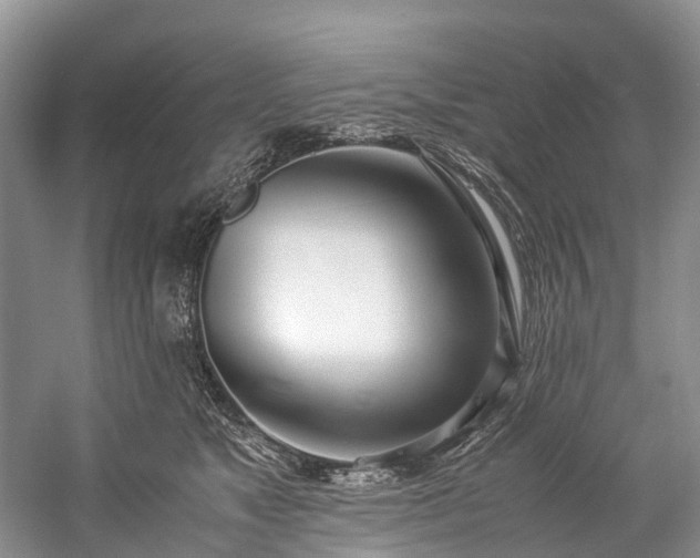 X0000060230517200510281138