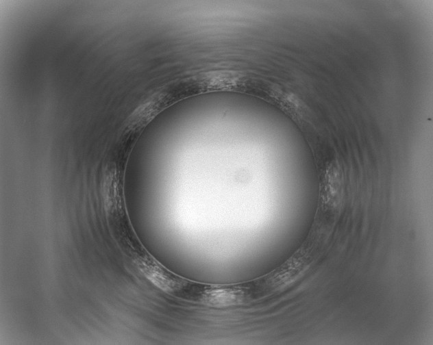 X0000060230522200510281138