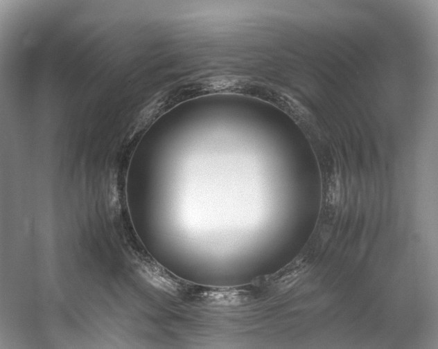 X0000060230524200510281138