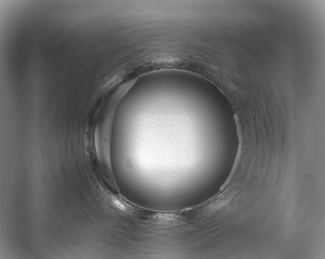 X0000060230528200510281138