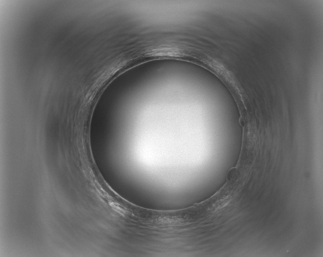 X0000060230529200510281137