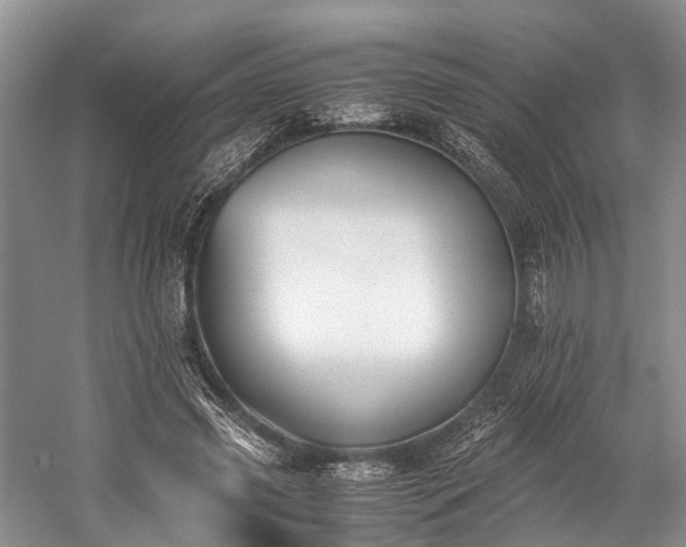 X0000060230541200510281137