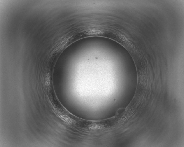X0000060230549200510281137