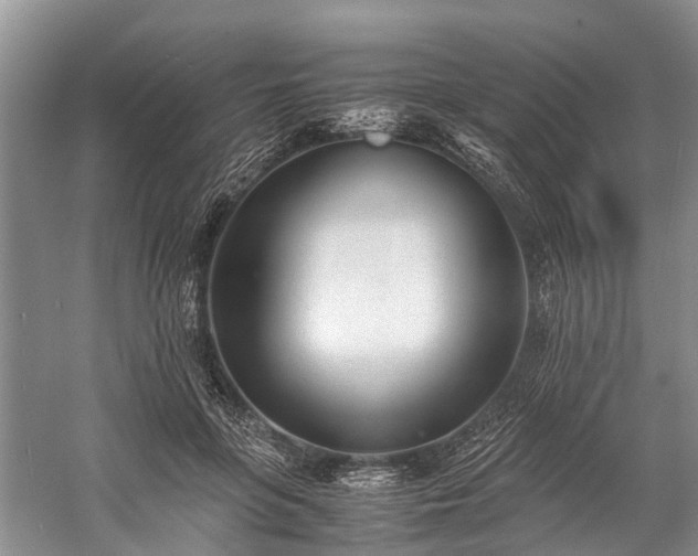 X0000060230551200510281137