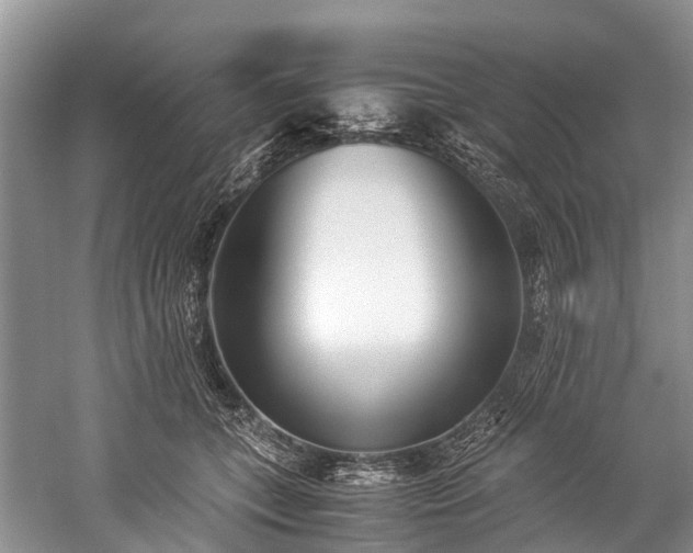 X0000060230559200510281137