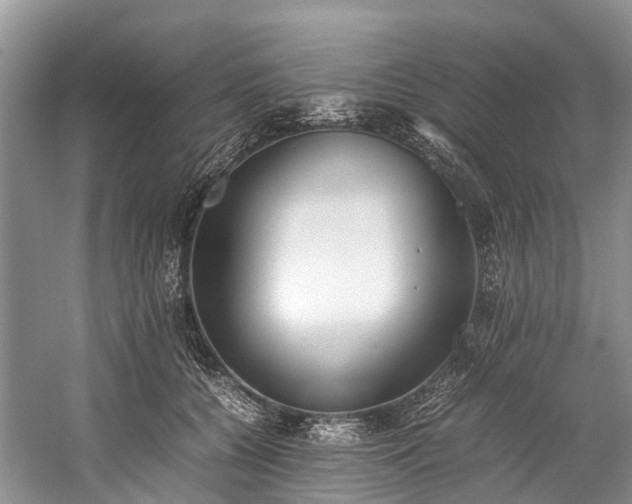 X0000060230560200510281137