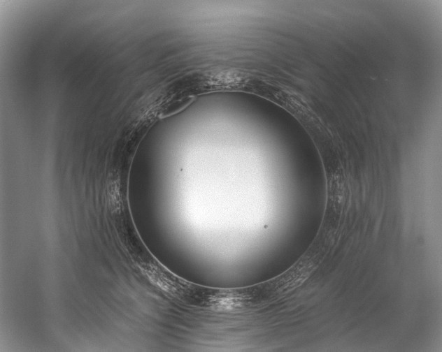 X0000060230564200510281137