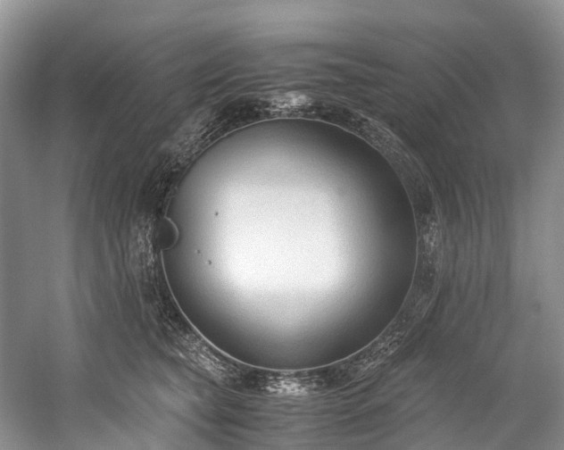 X0000060230565200510281137