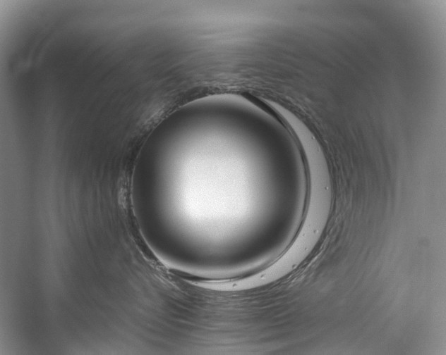 X0000060230576200510281138