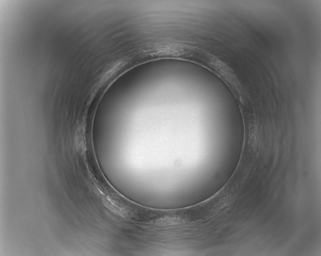 X0000060230578200510281137