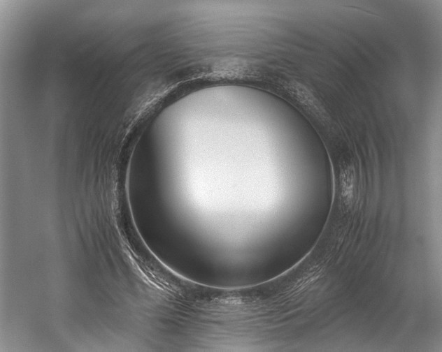 X0000060230588200510281137