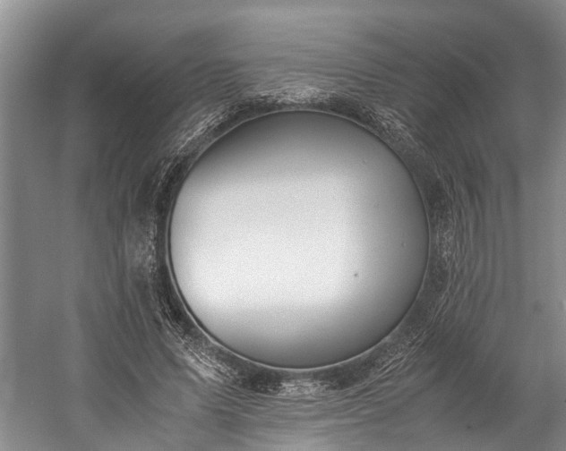 X0000060230591200510281136