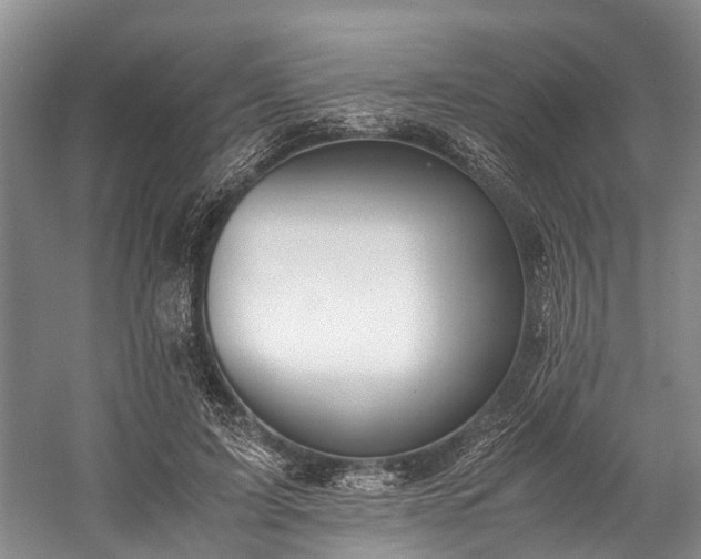 X0000060230595200510281136