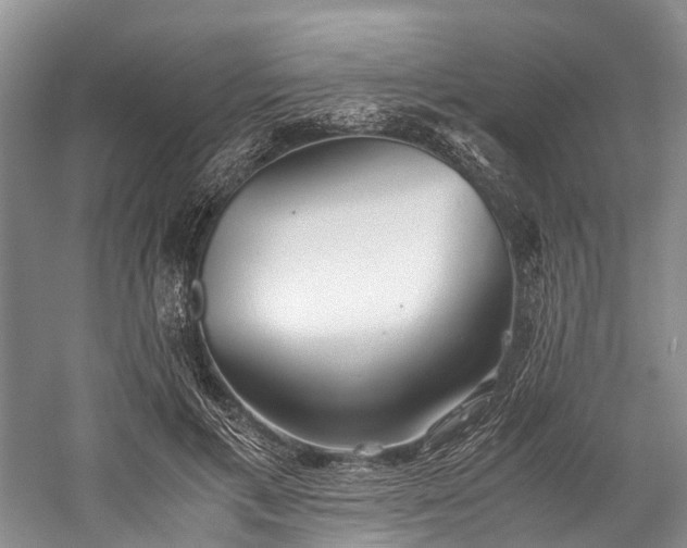 X0000060230597200510281136
