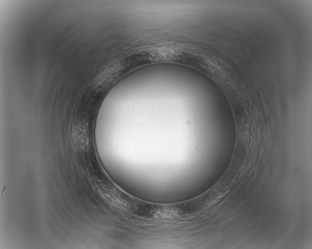 X0000060230599200510281136