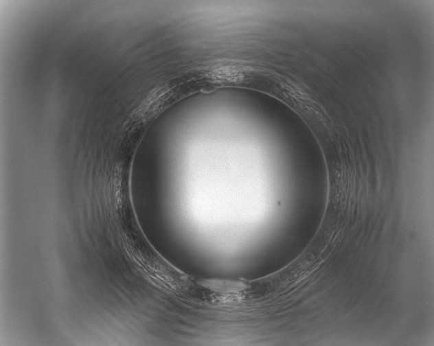 X0000060230600200510281136