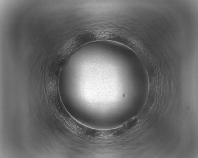 X0000060230601200510281136