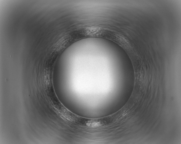 X0000060230602200510281136