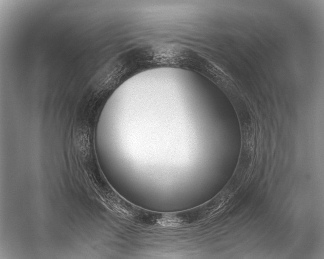 X0000060230603200510281136