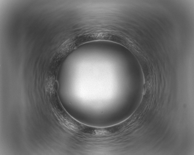 X0000060230605200510281136