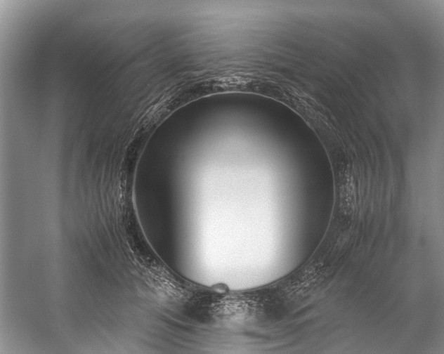 X0000060230608200510281136
