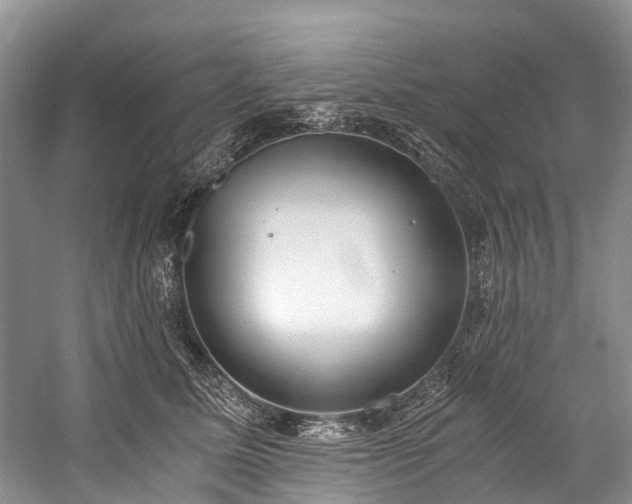 X0000060230611200510281136