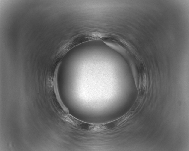X0000060230621200510281136