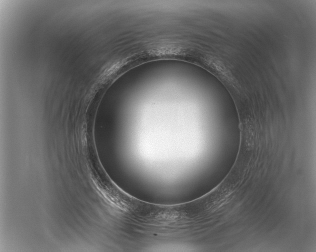 X0000060230631200510281135