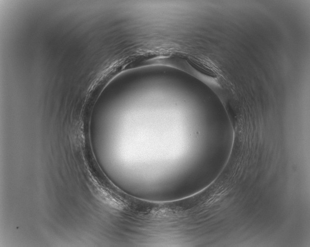 X0000060230634200510281135