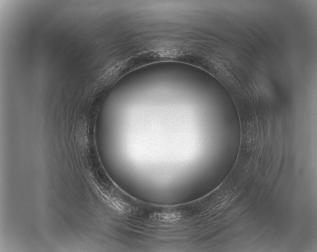 X0000060230639200510281135