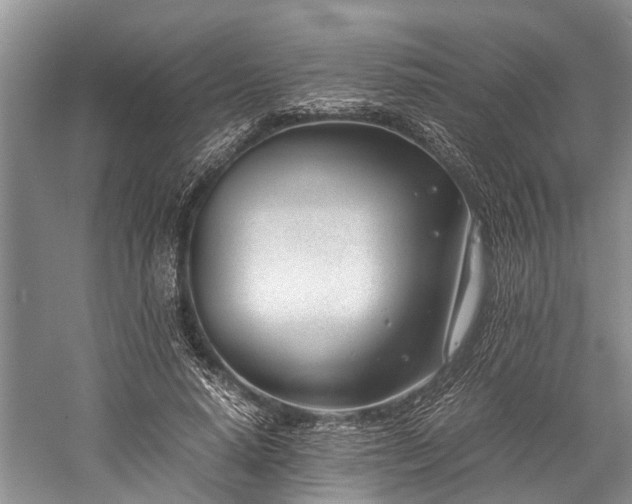 X0000060230640200510281135