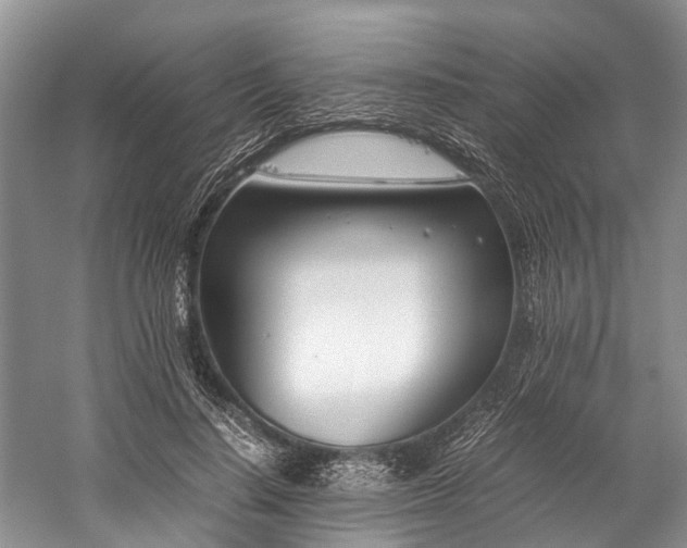 X0000060230644200510281135