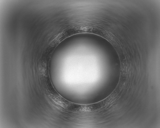 X0000060230656200510281136