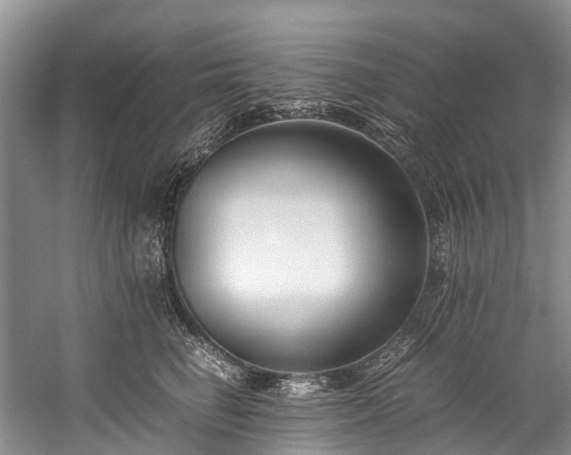 X0000060230662200510281136