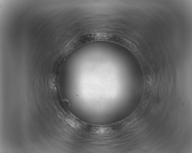 X0000060230663200510281136