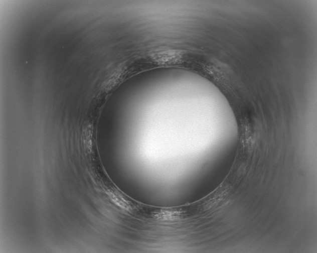 X0000060230664200510281136