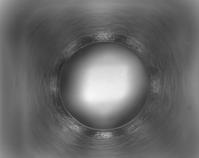 X0000060230665200510281136