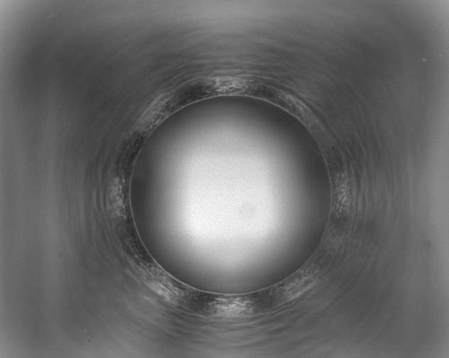 X0000060230667200510281136
